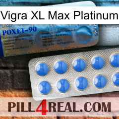 Vigra Xl Max Platinum 40